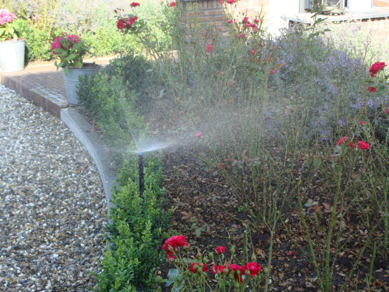 Image description